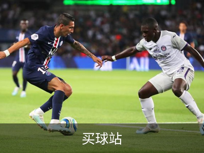 了解买球站